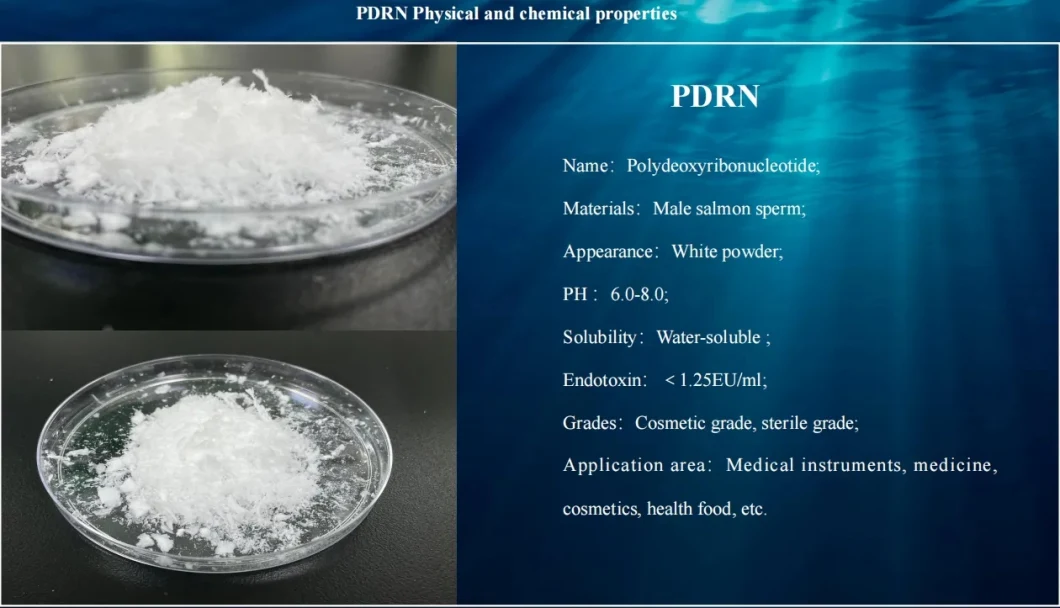 Cosmetic Raw Materials Polydeoxyribonucleotide Pdrn/DNA/Fish Sperm CAS 100403-24-5