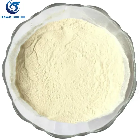 Natural Food Ingredient/Food Flavor Hydrolyzed Vegetable Protein Hvp with Powder Form